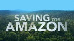 Saving the Amazon