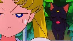 Seiya and Usagi's Nervous Date