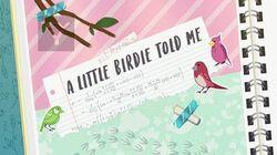 A Little Birdie Told Me