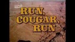 Run, Cougar, Run (1)