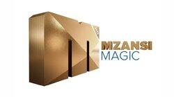 logo of Mzansi Magic