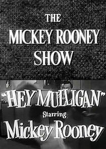 The Mickey Rooney Show