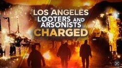 Los Angeles Looters and Arsonists Charged