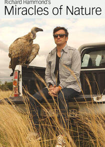 Richard Hammond's Miracles of Nature