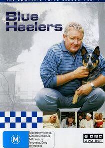 Blue Heelers - Season 3