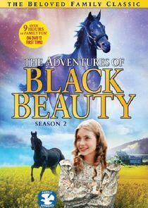 The Adventures of Black Beauty - Season 2