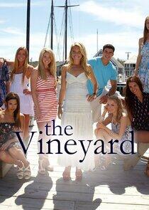 The Vineyard