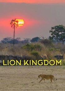 Lion Kingdom