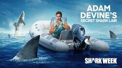 Adam Devine's Secret Shark Lair