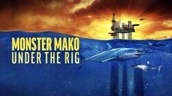 Monster Mako Under the Rig