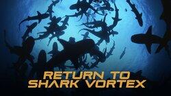 Return to Shark Vortex