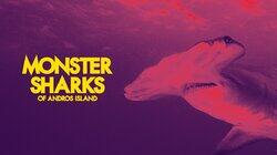 Monster Sharks of Andros Island