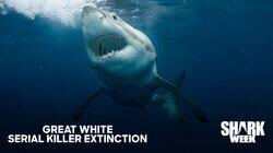 Great White Serial Killer Extinction