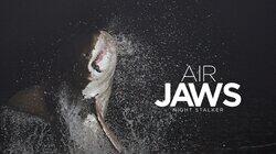 Air Jaws: Night Stalker