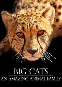 Big Cats: An Amazing Animal Family