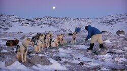 Arctic - Life in the Deep Freeze