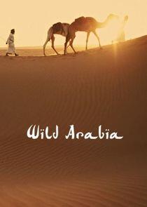 Wild Arabia - Season 1