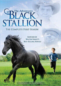 The Adventures of the Black Stallion - Season 1