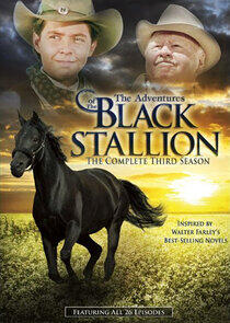 The Adventures of the Black Stallion - Season 3