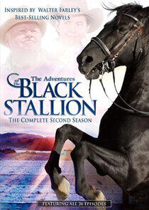 The Adventures of the Black Stallion - Season 2