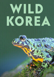 Wild Korea