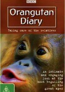 Orangutan Diary