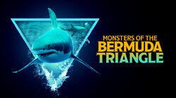 Monsters of the Bermuda Triangle