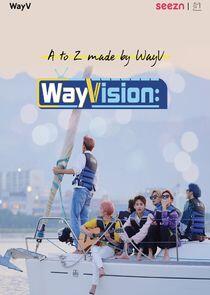 WayVision