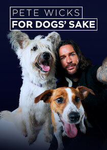 Pete Wicks: For Dogs' Sake