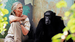 Dr. Jane Goodall