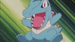 Love, Totodile Style