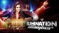 2014 Elimination Chamber - Minneapolis, MN