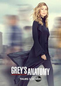 Grey's Anatomy - Season 16