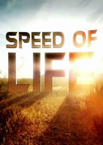 Speed of Life