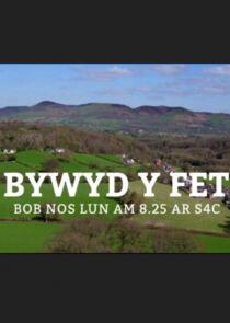 Bywyd y Fet