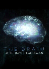 The Brain with David Eagleman