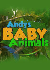 Andy's Baby Animals - Season 1