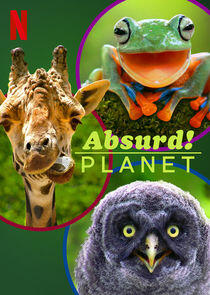 Absurd Planet - Season 1