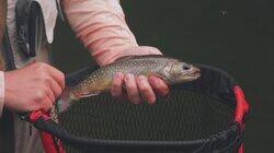 Upper Peninsula Trout Adventures