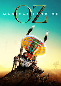 Magical Land of Oz