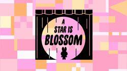 A Star Is Blossom