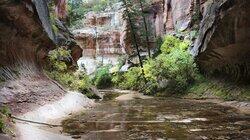 Brazil's Little Silver Grotto