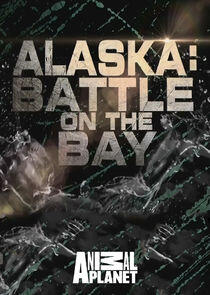 Alaska: Battle on the Bay