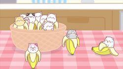 Bananya and the Big Round World, Nya