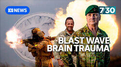 Blast Wave Brain Trauma