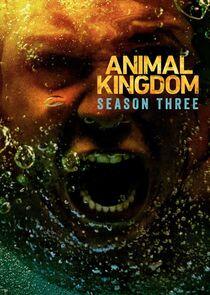 Animal Kingdom - Season 3