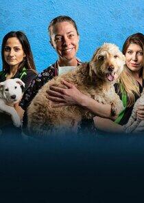 The Pet Rescuers