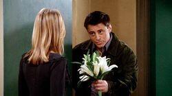 The One Where Joey Dates Rachel