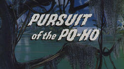 Pursuit of the Po-Ho