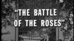 The Battle of the Roses